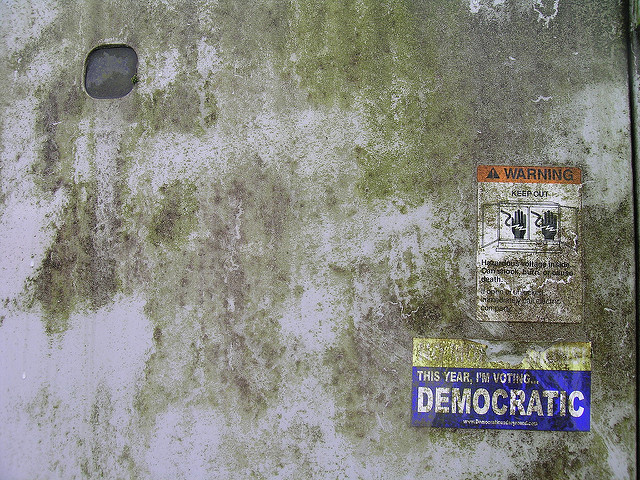 Democrats Ryan McFarland/Flickr